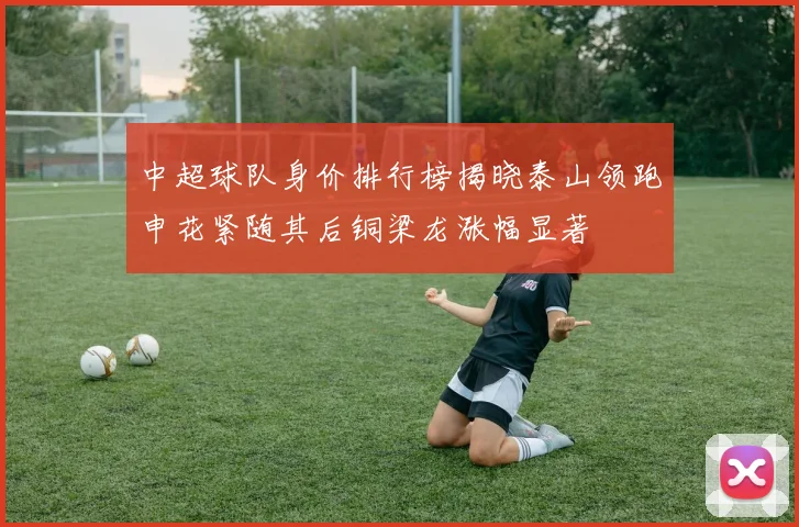 中超球队身价排行榜揭晓泰山领跑申花紧随其后铜梁龙涨幅显著