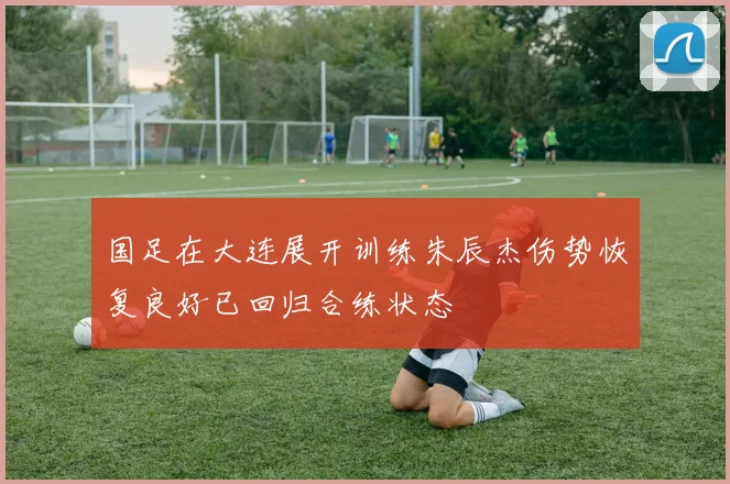 国足在大连展开训练朱辰杰伤势恢复良好已回归合练状态